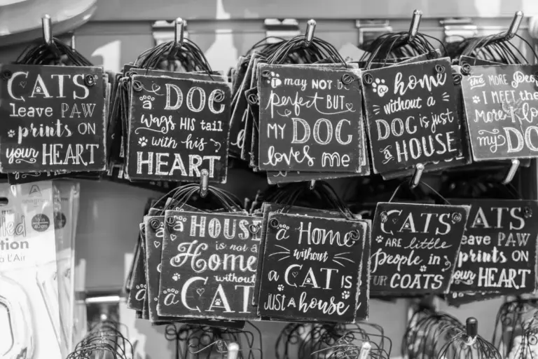 Petco Turnaround Debt Reduction on Track as EBITDA Hits $97M Petco turnaround debt reduction